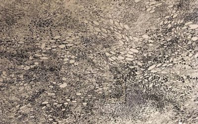 Prints & Drawings from the Permanent Collection