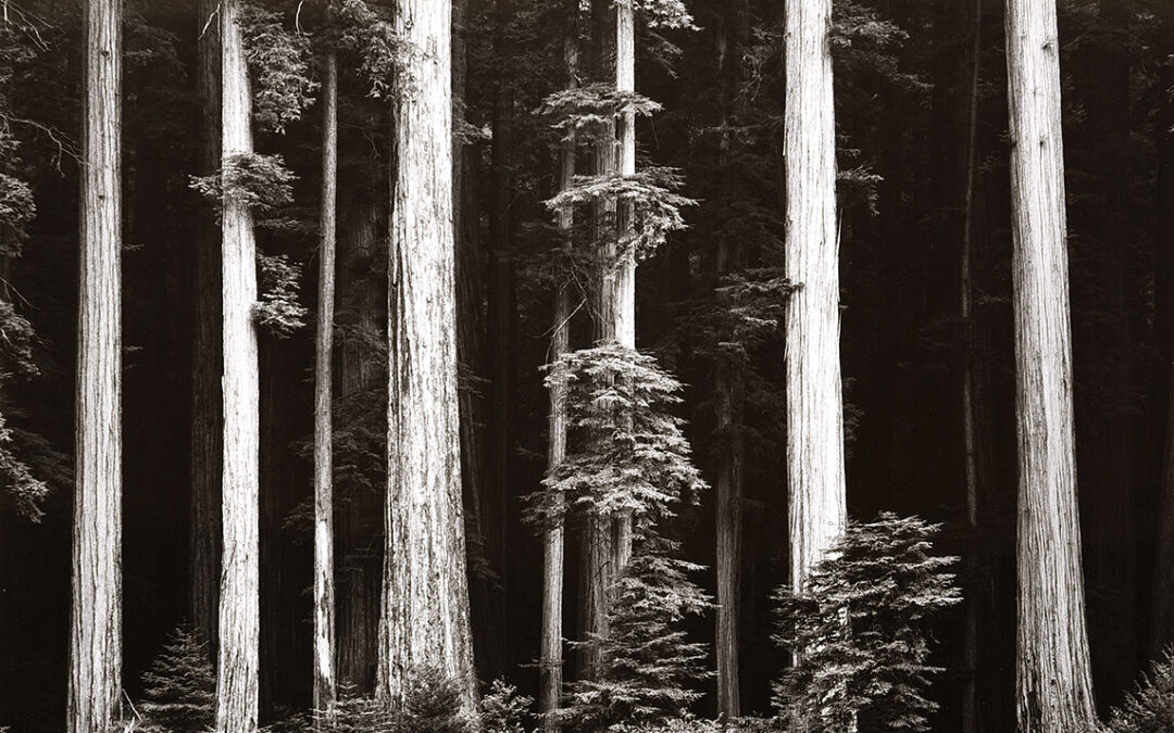 Ansel Adams